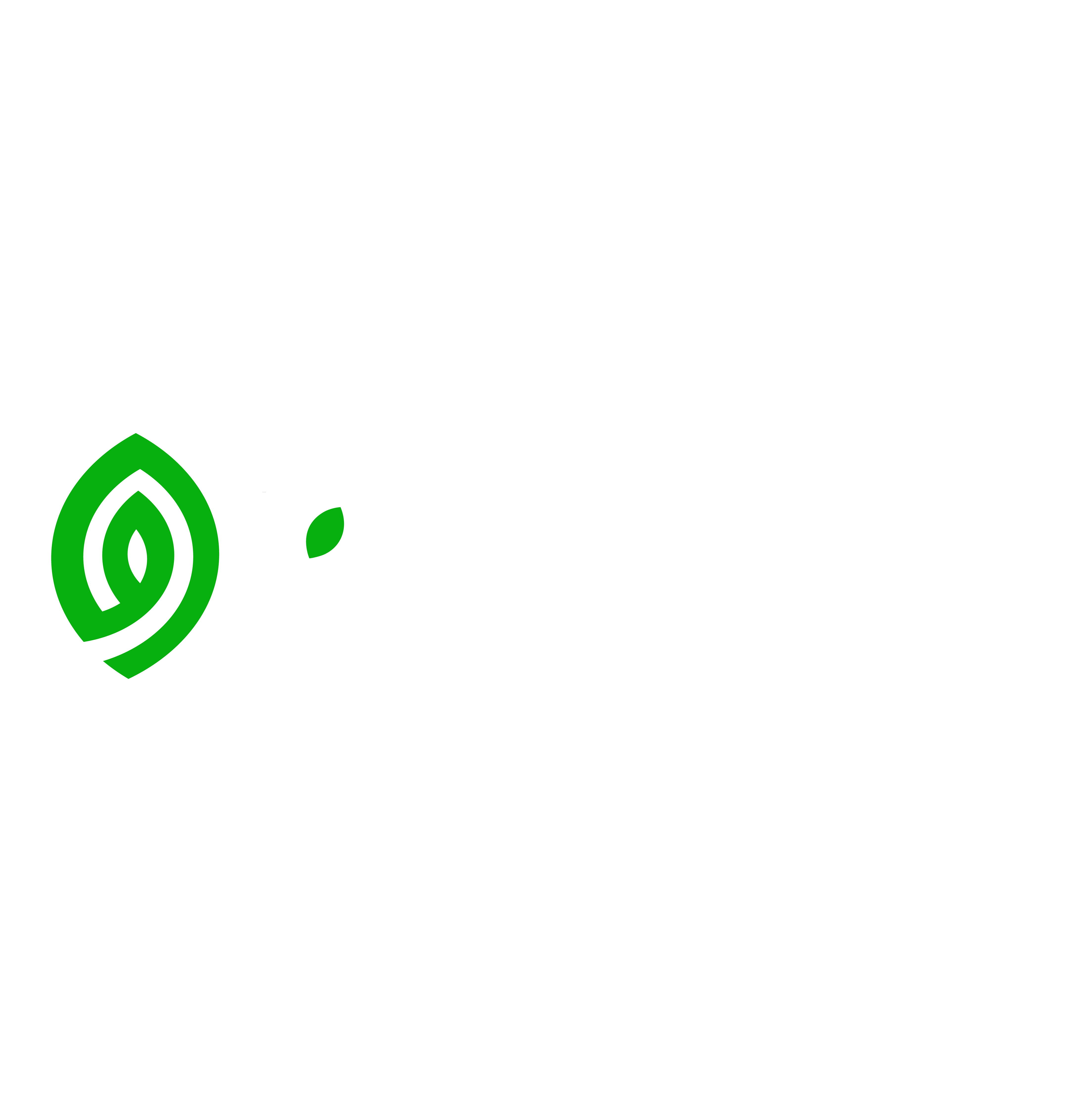 VerdeDigital